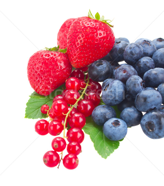 blueberry, red currant and strawberry  Stock photo © neirfy