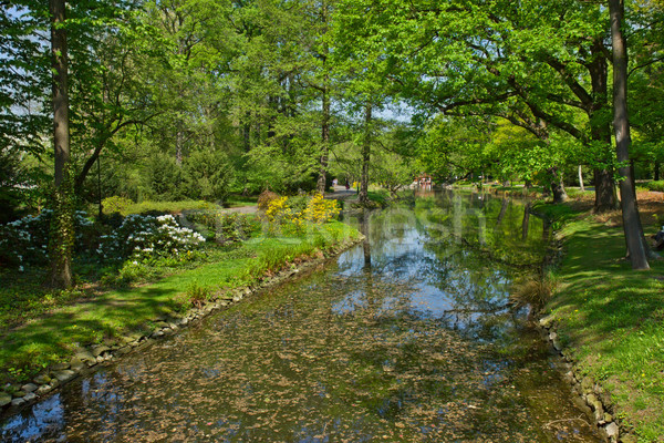 Stock photo: summer stream, Wroclaw, Poland