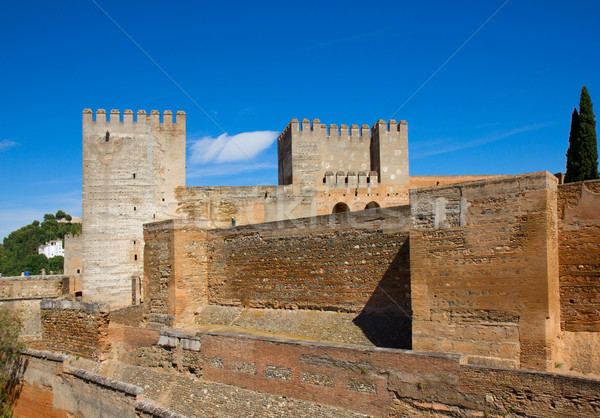 Citadel alhambra Spanje hemel boom bouw Stockfoto © neirfy