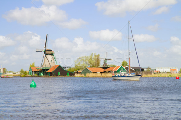 Nederlands rivier holland water gras natuur Stockfoto © neirfy