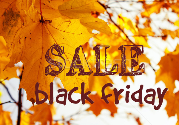 Herbst Verkauf Text black friday fallen Ahorn Stock foto © neirfy