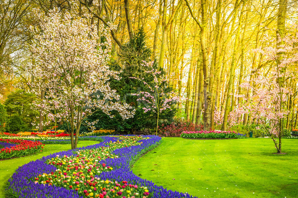 Formal spring garden Stock photo © neirfy