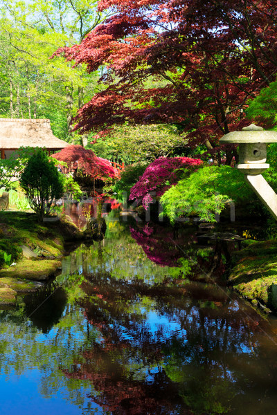 japanese garden in The Hague Stock photo © neirfy