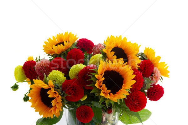 Stockfoto: Dahlia · zonnebloemen · boeket · vers · bloemen · geïsoleerd