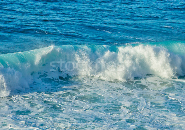 Stock photo: crushing wave