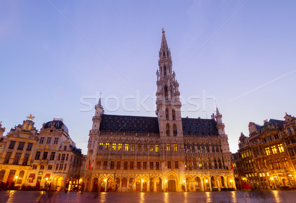 Brüksel belediye binası mavi gece Belçika gökyüzü Stok fotoğraf © neirfy