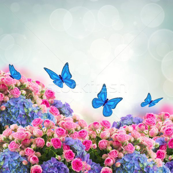 bunch of roses and  hortensia flowers Stock photo © neirfy