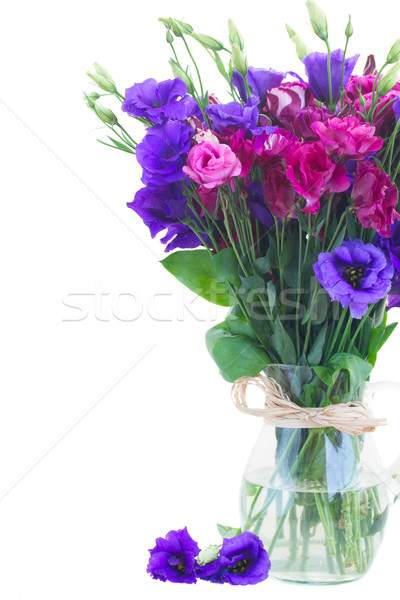 violet and mauve eustoma flowers in glass vase Stock photo © neirfy