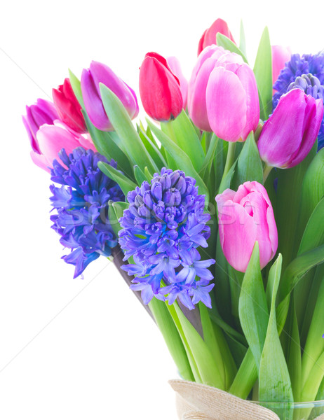 букет синий гиацинт тюльпаны розовый Сток-фото © neirfy
