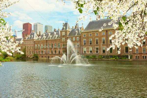 Parlament Niederlande Ansicht Frühling Büro Stock foto © neirfy