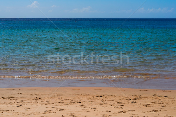abstract blured sea background Stock photo © neirfy