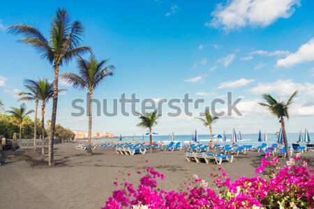 Puerto de la Cruz, Tenerife Stock photo © neirfy