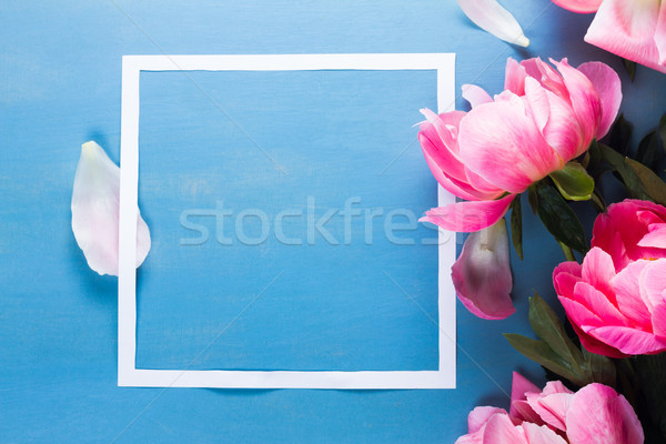 Stock fotó: Friss · kék · virágok · papír · keret · közelkép