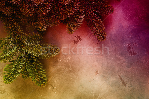 Navidad hojas perennes árbol forestales fondo Foto stock © neirfy
