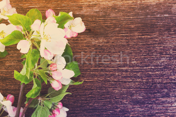 Melo fiore foglie verdi confine legno retro Foto d'archivio © neirfy
