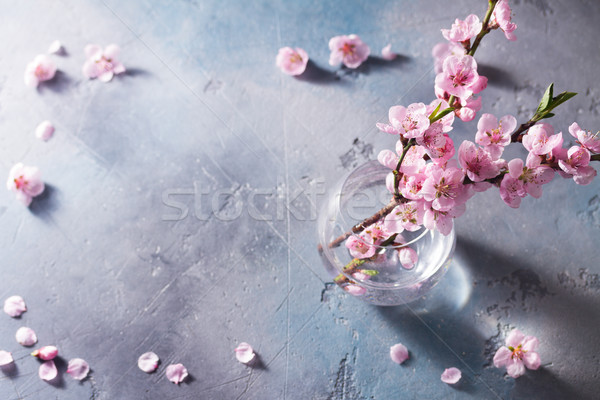 Rosa fiore di ciliegio fresche vetro vaso petali Foto d'archivio © neirfy