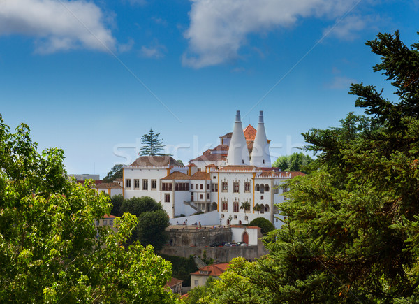 Palota Portugália nap épület világ hegy Stock fotó © neirfy