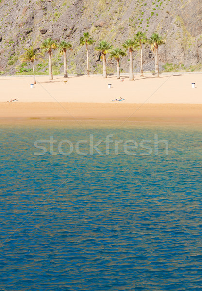 Strand Teneriffa Spanien Ozean Insel Wasser Stock foto © neirfy