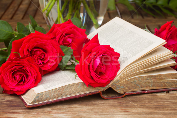 Eski kitap güller bağbozumu tablo taze kırmızı gül Stok fotoğraf © neirfy
