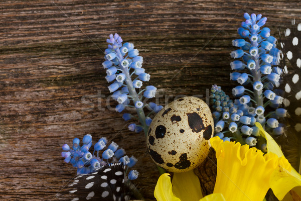 Muscari, daffodils  and eggs  Stock photo © neirfy