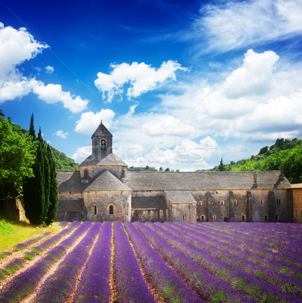 Apátság levendula mező Franciaország világ híres virágzó Stock fotó © neirfy