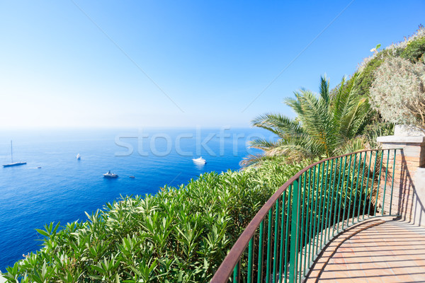 Eiland mooie zomer natuur water landschap Stockfoto © neirfy