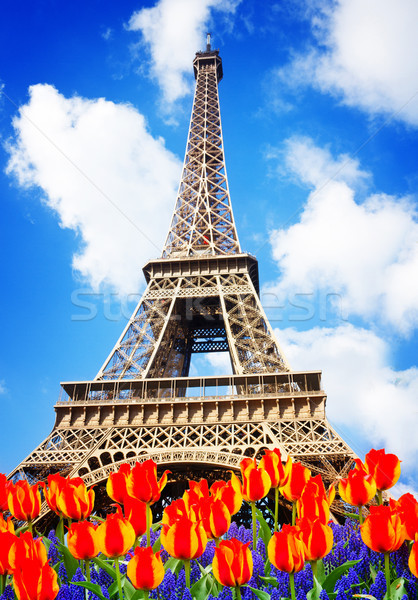 Eyfel Kulesi bahar Paris gün çiçekler Fransa Stok fotoğraf © neirfy