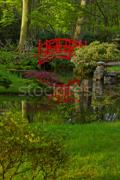 Japanese garden with bridge Stock photo © neirfy