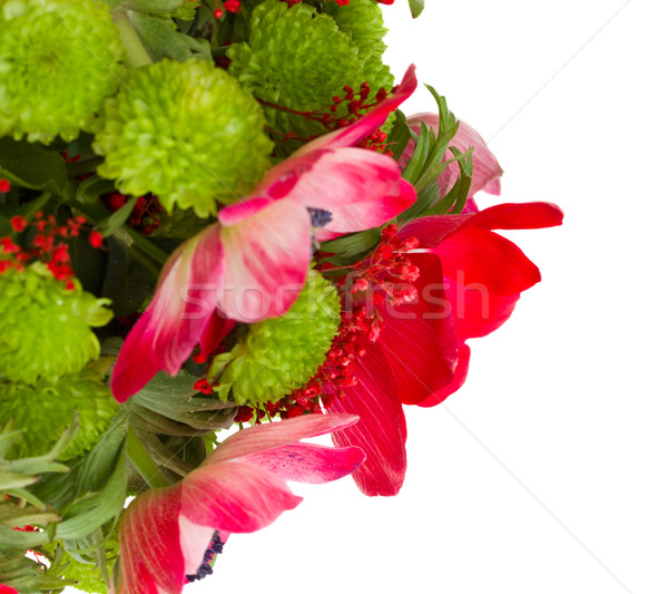 bouquet with red anemone flowers close up Stock photo © neirfy