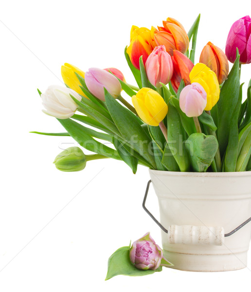 Ramo tulipán flores blanco olla Foto stock © neirfy