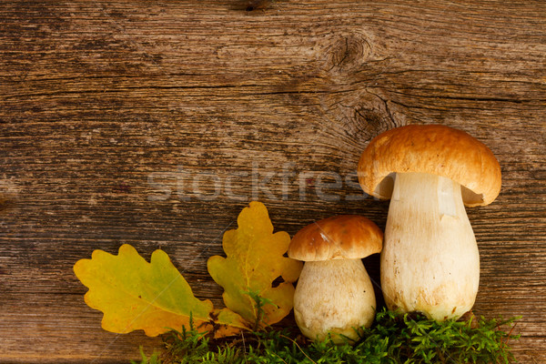 Tinóru gomba gombák fából készült ősz levelek fa asztal Stock fotó © neirfy