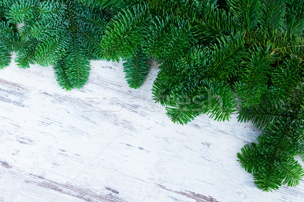 Christmas vers evergreen boom witte Stockfoto © neirfy