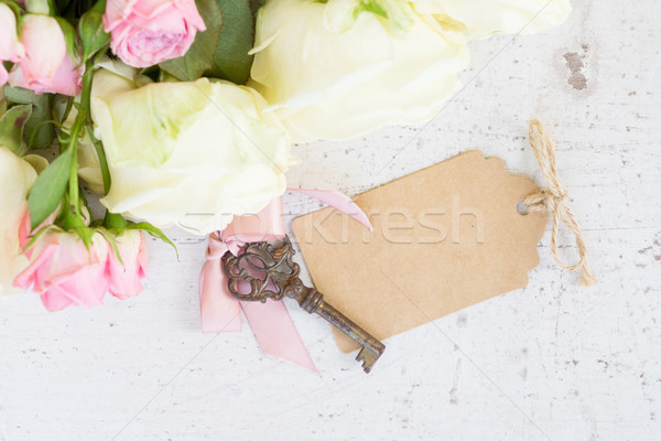 Stock photo: Pink and white blooming roses