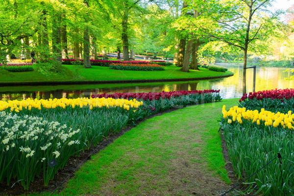 Formal spring garden Stock photo © neirfy