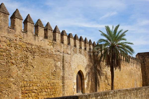 town wall of ancient Cordoba, Spain Stock photo © neirfy