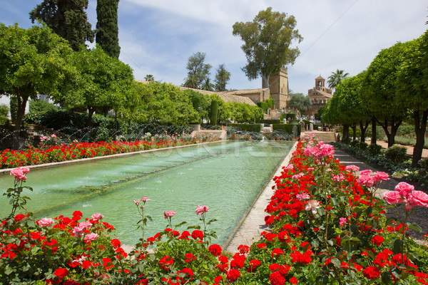 Gardens at the Alcazar, Cordoba, Spain Stock photo © neirfy