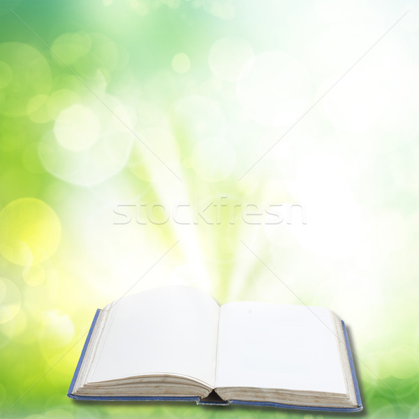 Foto stock: Magia · livro · jardim · livro · aberto · verde · luz