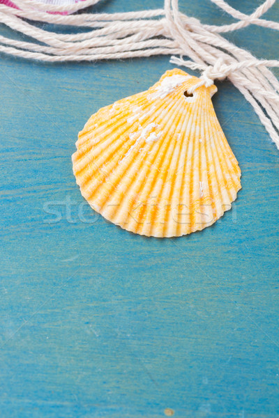 Halászháló fából készült kagyló kék textúra fa Stock fotó © neirfy