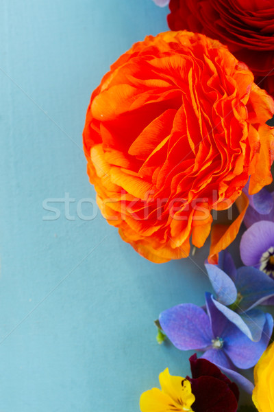 Stock photo: Ffesh Flowers Background