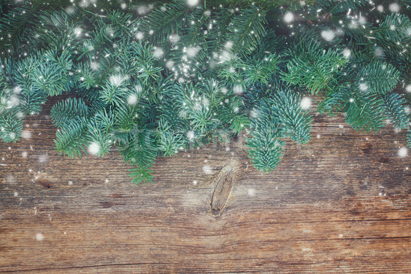 Foto d'archivio: Natale · fresche · evergreen · albero · rami · legno