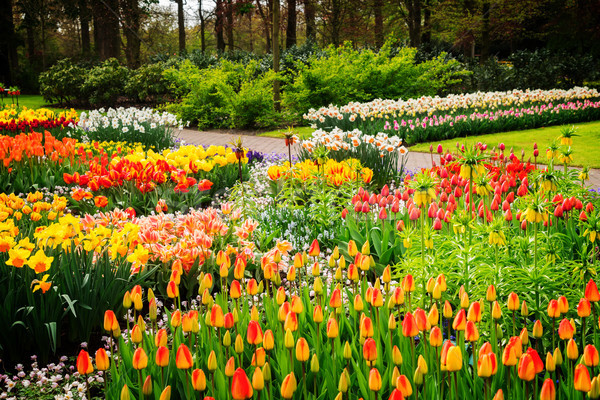 Formal spring garden Stock photo © neirfy