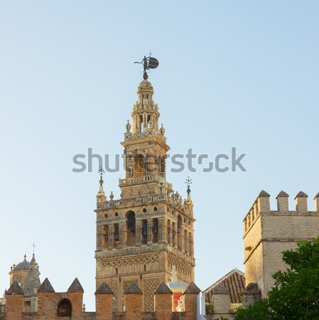 Bell tower of Cathedral church,  Seville, Spain Stock photo © neirfy