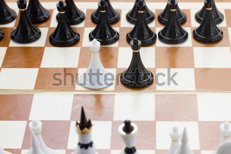 black and white knights in front of black chess Stock photo © neirfy