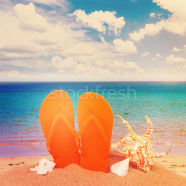 orange sandals and seashells in sand Stock photo © neirfy