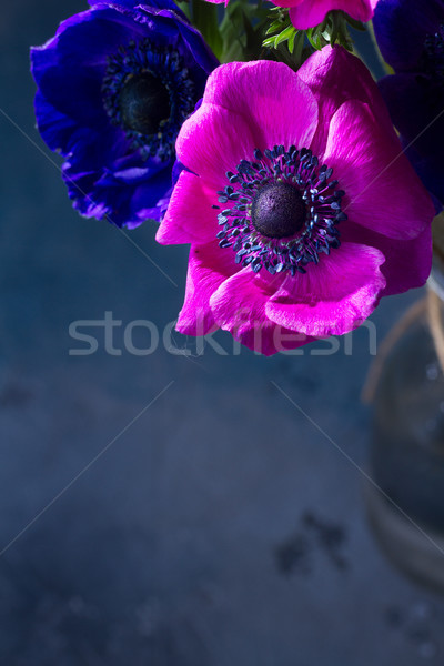 Stock photo: Anemones flowers on stone background