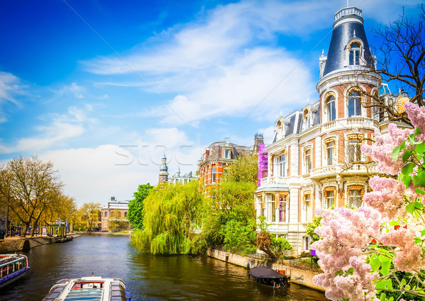 Uno Amsterdam barrio antiguo Países Bajos lila flores Foto stock © neirfy