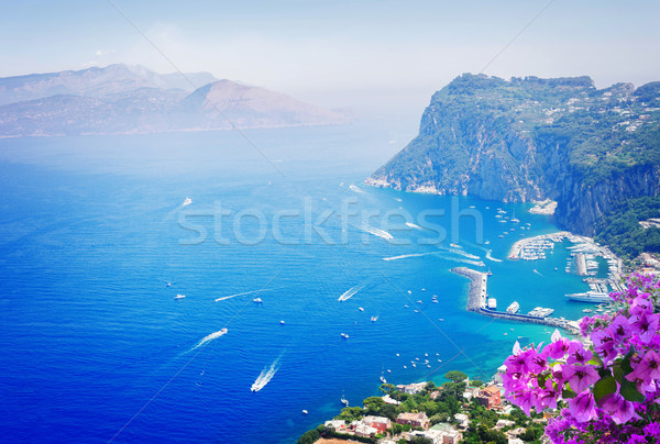 Eiland Italië jachthaven boven bloemen strand Stockfoto © neirfy