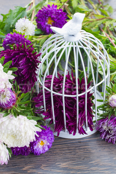 Mischung Blumen weiß violett Vogelkäfig Sommer Stock foto © neirfy