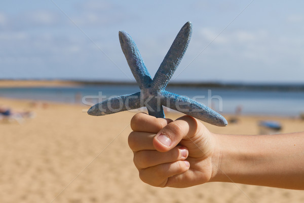 [[stock_photo]]: Main · starfish · bleu · mer · côté