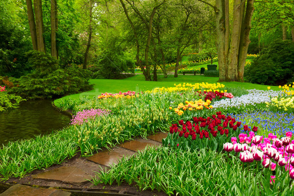 Formal spring garden Stock photo © neirfy